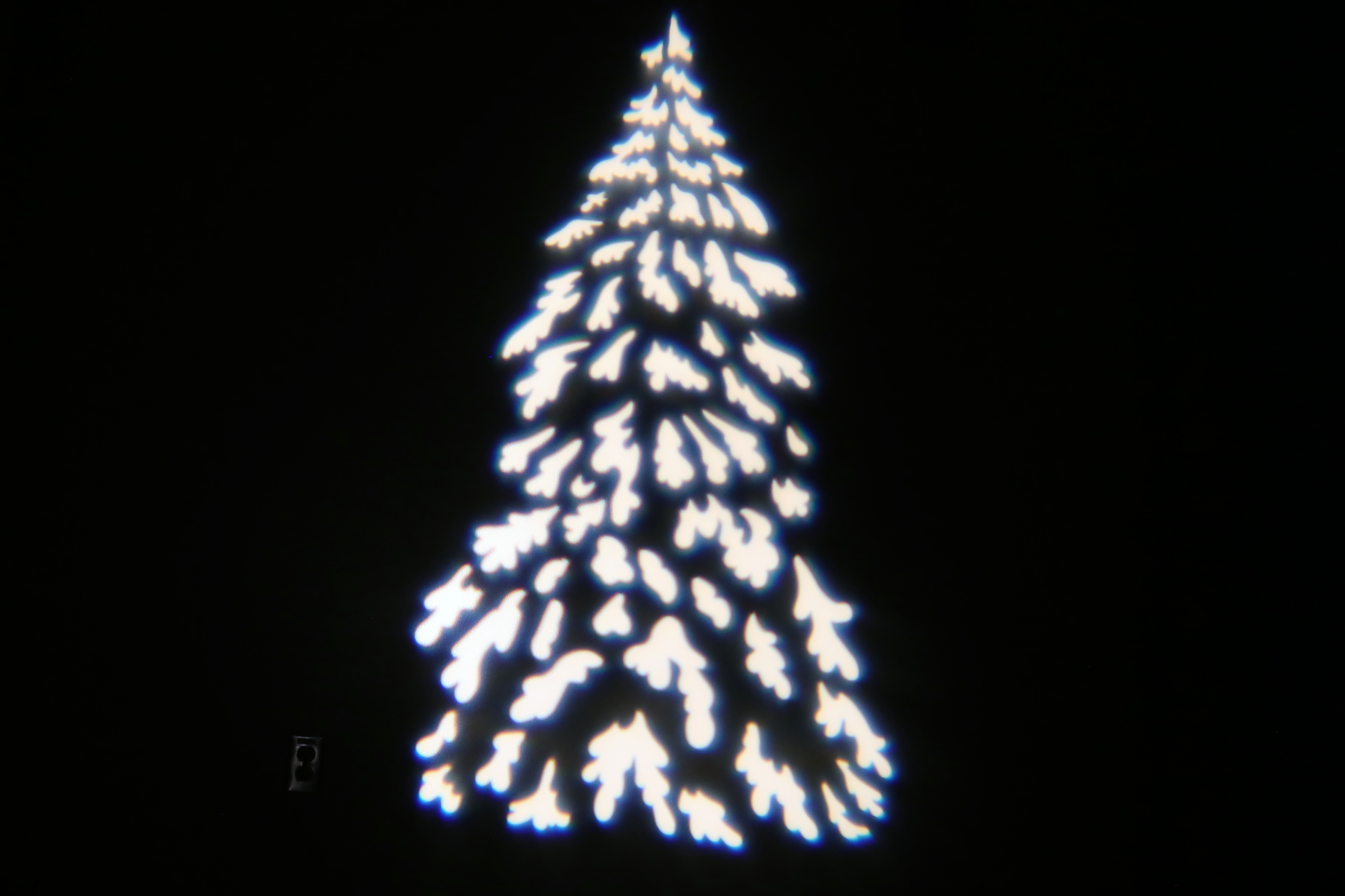 Nature - Pine Trees 2